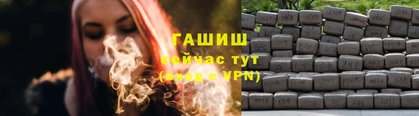 гидра Арсеньев