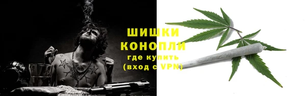 трава Аркадак