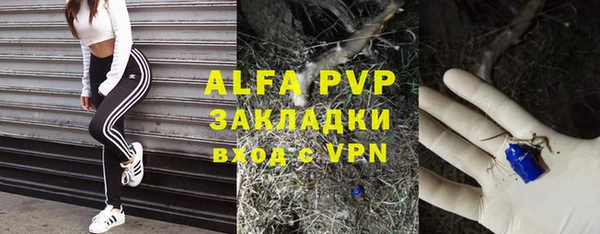 трава Аркадак
